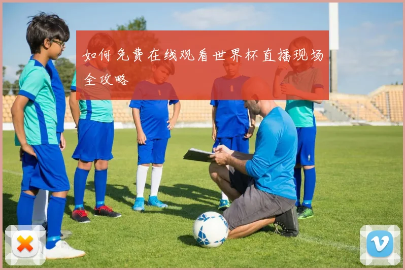 如何免费在线观看世界杯直播现场全攻略