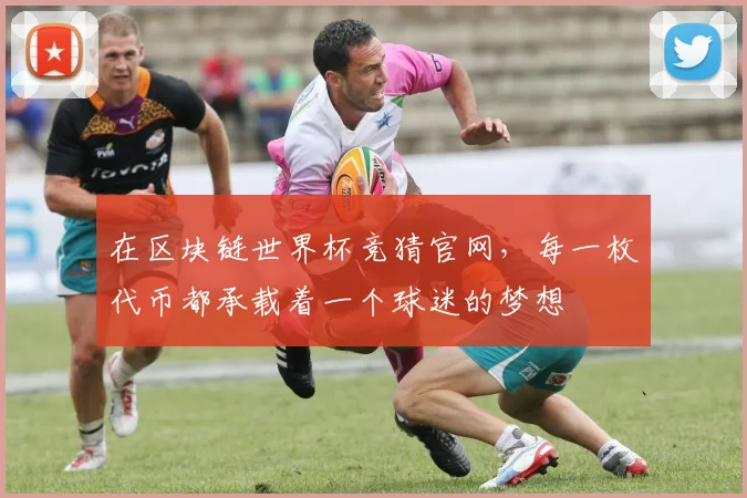 在区块链世界杯竞猜官网，每一枚代币都承载着一个球迷的梦想