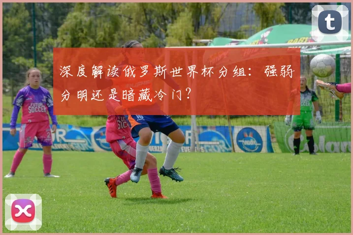 深度解读俄罗斯世界杯分组:强弱分明还是暗藏冷门?