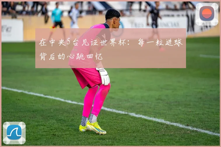 在中央5台见证世界杯：每一粒进球背后的心跳回忆