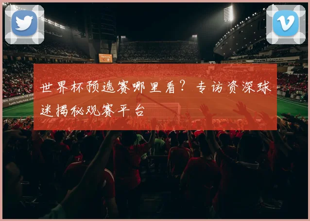 世界杯预选赛哪里看？专访资深球迷揭秘观赛平台
