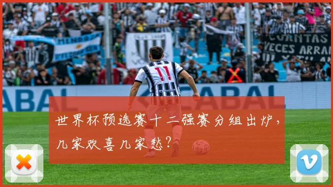 世界杯预选赛十二强赛分组出炉，几家欢喜几家愁？