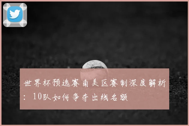 世界杯预选赛南美区赛制深度解析：10队如何争夺出线名额