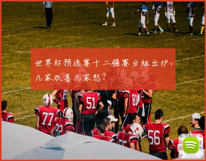 世界杯预选赛十二强赛分组出炉，几家欢喜几家愁？
