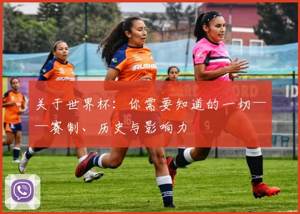 关于世界杯：你需要知道的一切——赛制、历史与影响力
