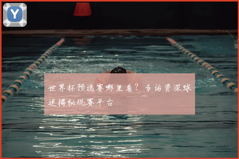 世界杯预选赛哪里看？专访资深球迷揭秘观赛平台