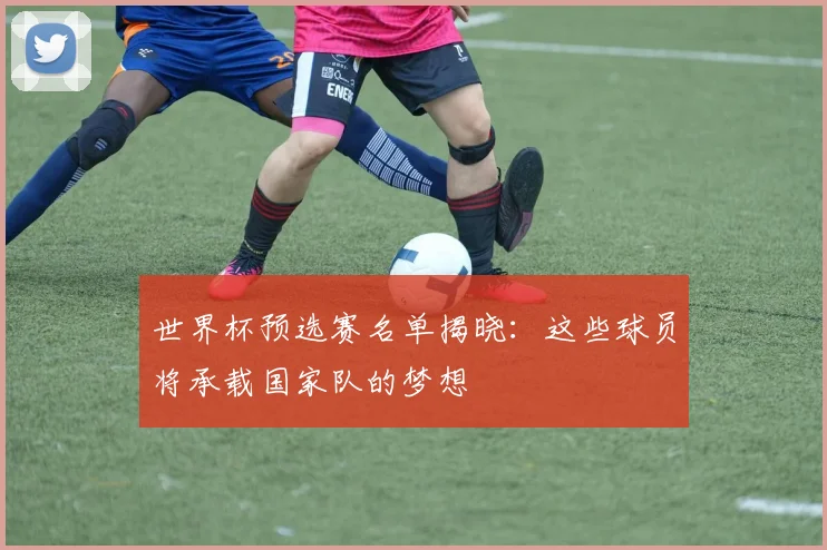 世界杯预选赛名单揭晓：这些球员将承载国家队的梦想