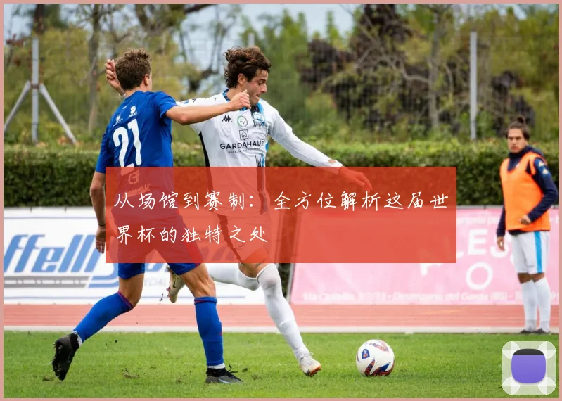 从场馆到赛制:全方位解析这届世界杯的独特之处