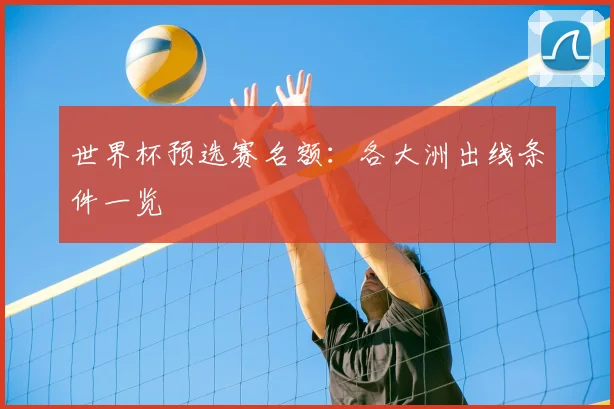 世界杯预选赛名额：各大洲出线条件一览